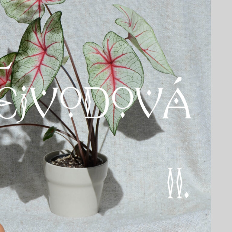 Chlorofyl x Anna Vejvodová II ig2