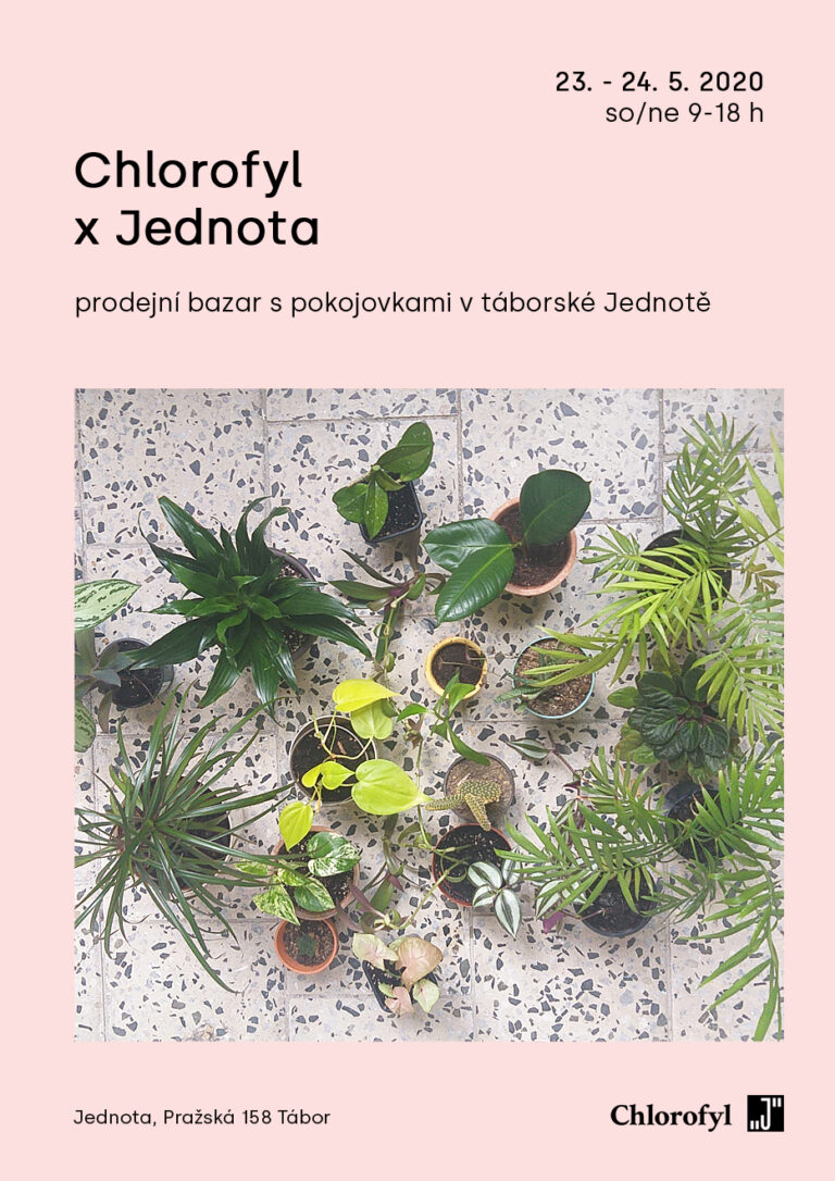 propagační plakát pro ekologický projekt Chlorofyl, vizuální identita firemní identita, grafický design, pokojovky